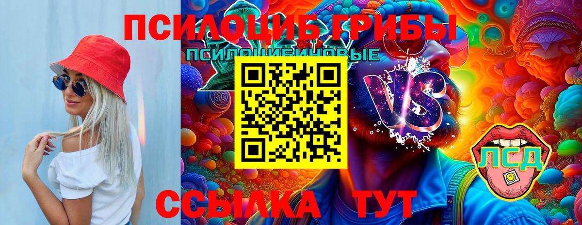 Псилоцибиновые грибы GOLDEN TEACHER  Галлюциногенные грибы мицелий  Чехов  Вход с VPN 