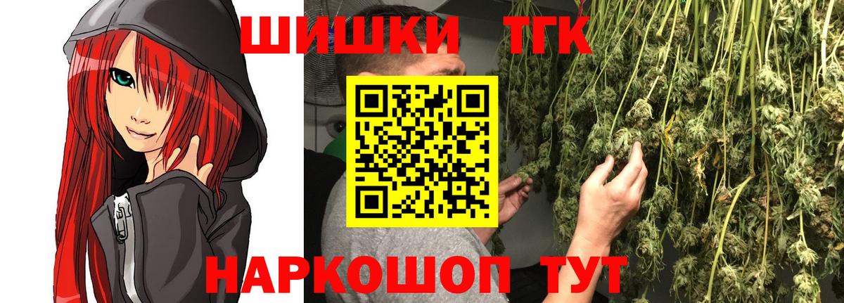 Конопля сатива Чехов